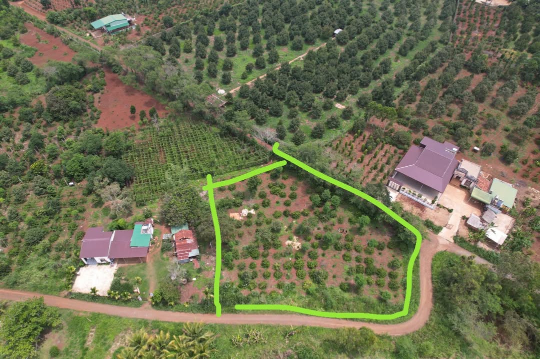 Đất nền Phú Xuân 2000m² giá 900 triệu - 3 mặt tiền đường tuyệt đẹp!