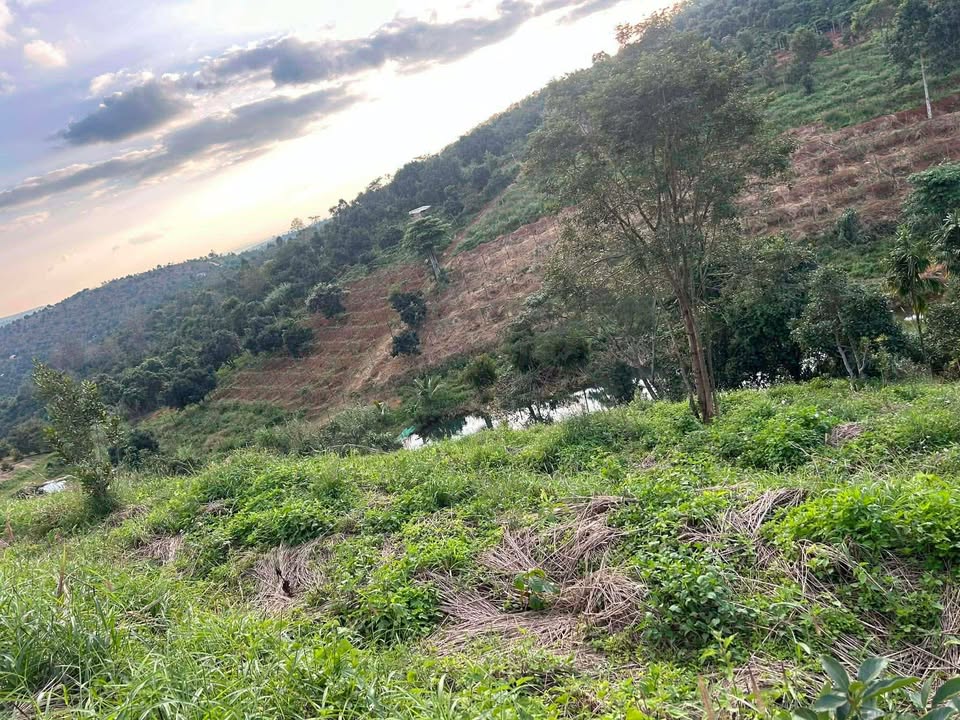 Đất nền 1ha tại thôn Tân Thành, xã Dliê Ya, giá 6.5 tỷ - Cơ hội đầu tư tuyệt vời!