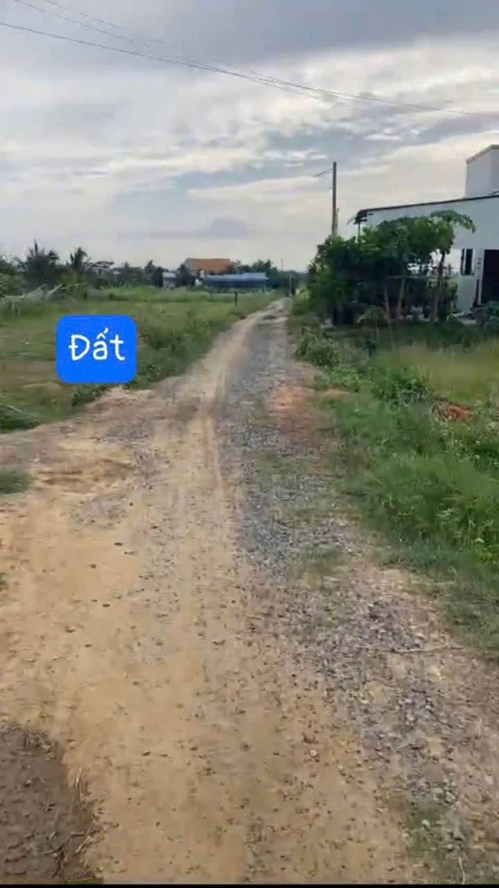 Đất cây trồng 724m² tại Hàm Hiệp, Bình Thuận - Sổ hồng đầy đủ, giá 800 triệu!