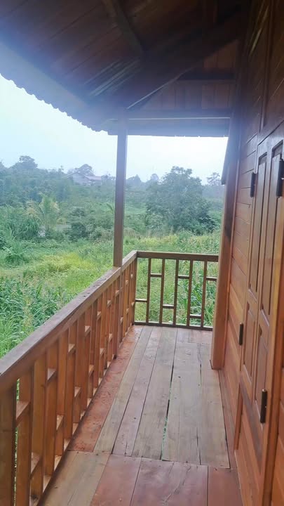 Farm đất 1ha Ea Ning, Đắk Lắk giá 2.3 tỷ - View suối tuyệt đẹp!