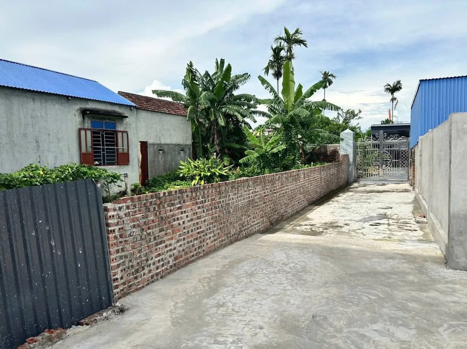 Đất Tiên Thanh, Tiên Lãng 120m² giá 1 tỷ - Đầu tư sinh lời ngay!