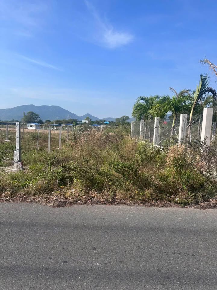 Đất nền mặt tiền Tôn Thất Thuyết, Phước Hải 290m² giá chỉ 2 tỷ - Cơ hội đầu tư tuyệt vời!