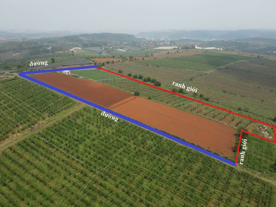 Đất Đà Loan, Đức Trọng 9800m² giá 3,5 tỷ - Đất 2 mặt tiền đường, sổ riêng!