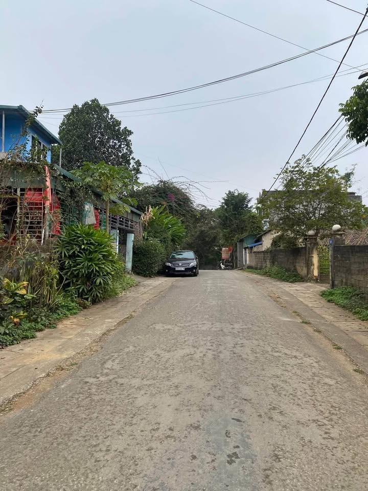 Đất nền Tổ 10 An Tường 130m² giá 1 tỷ - Đầu tư sinh lời hấp dẫn!