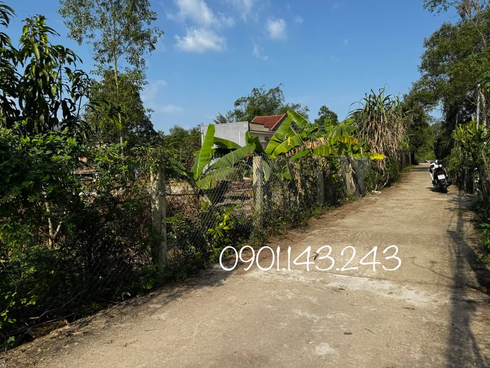 Đất nền Bình Nam, Thăng Bình 500m² giá 1.2 tỷ - Đầu tư sinh lời ngay!