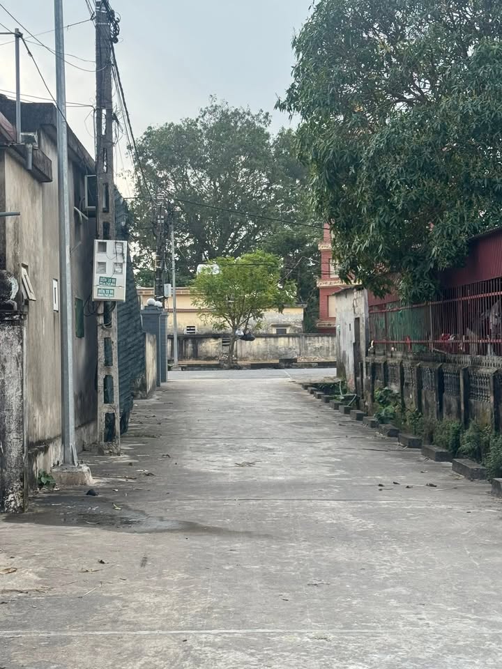 Đất thổ cư xóm 1, xã Nghĩa Phong 110m² giá 650 triệu - Đầu tư sinh lời ngay!