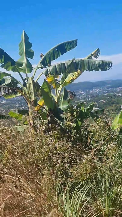 Đất nền Đông Thanh 2000m² giá 2.5 tỷ - Đầu tư sinh lời ngay!