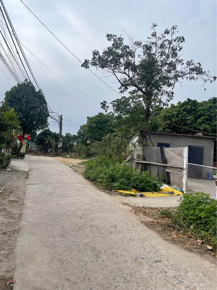 Đất nền khu phố 5 Hải Yên 130m² giá 1 tỷ - Cơ hội đầu tư tuyệt vời!