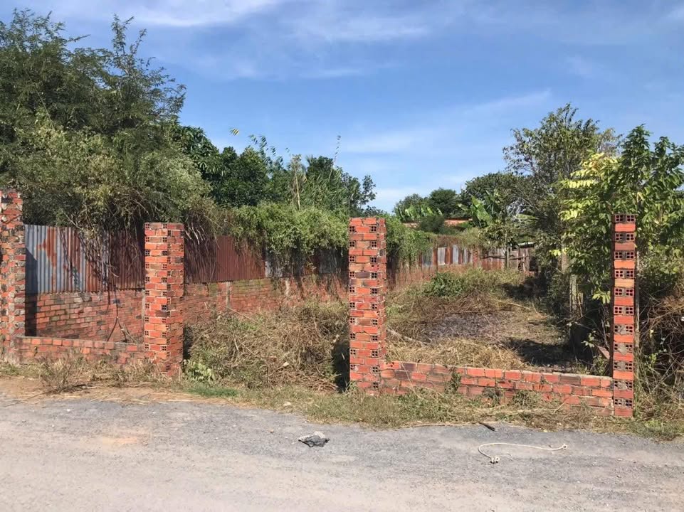 Đất thổ cư Long Hoa Tây Ninh 158.2m² giá 590 triệu - Đường nhựa rộng rãi!