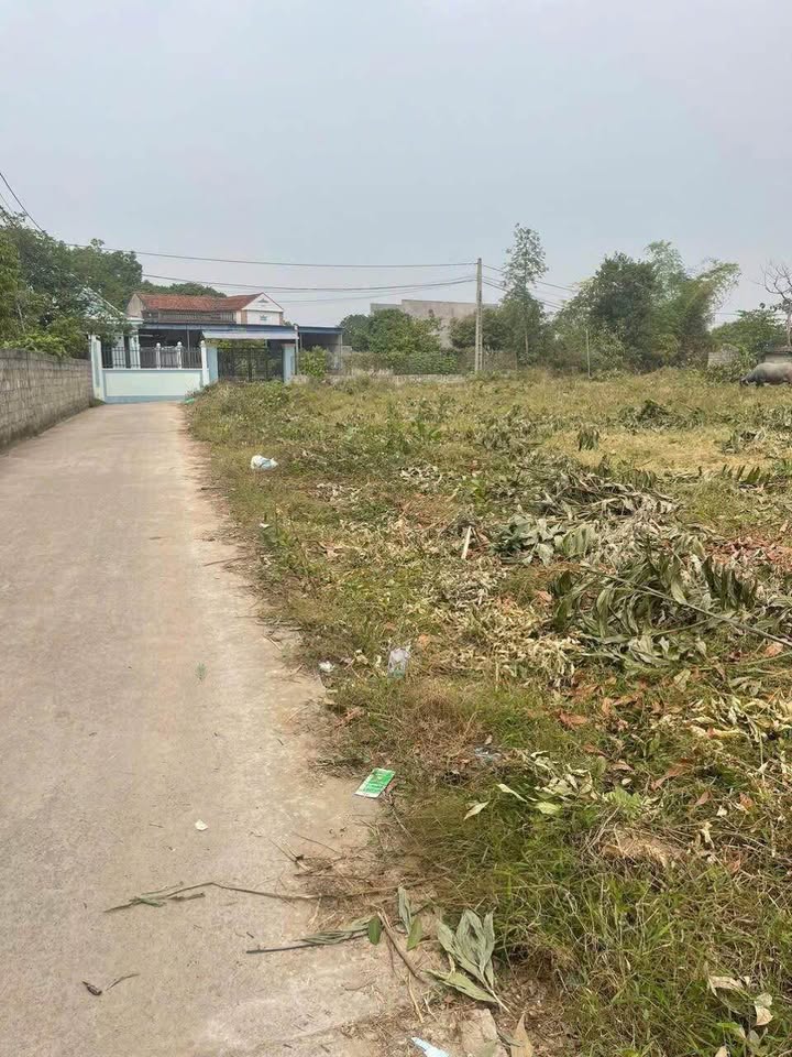 Đất nền Bách Quang - 300m² giá chỉ 1.2 tỷ - Đầu tư sinh lời ngay!