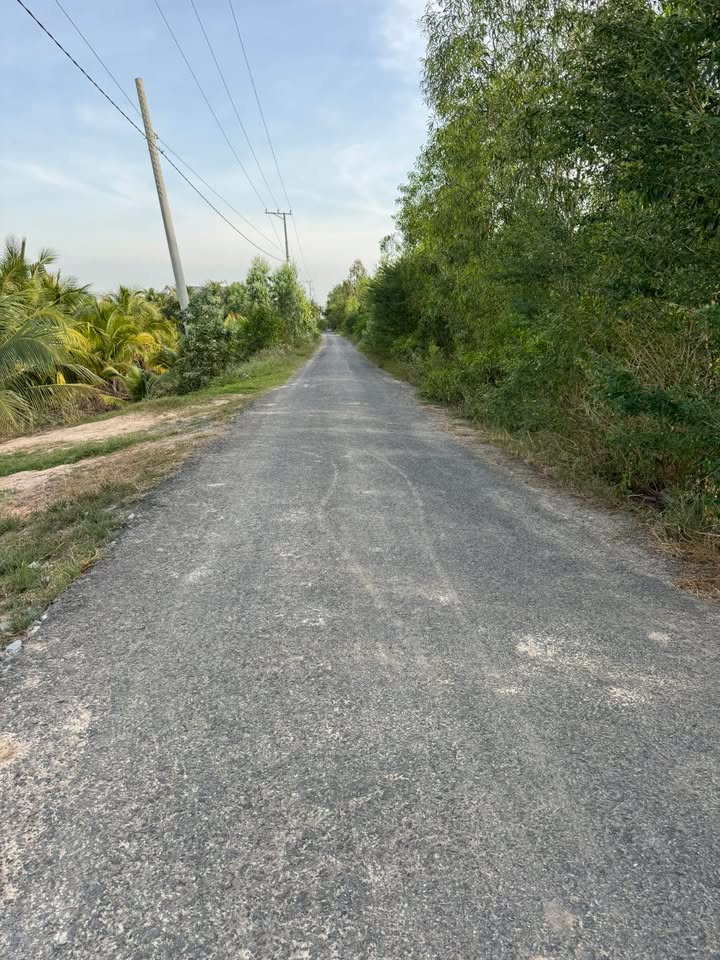 Đất ruộng 2 vụ xã Thông Bình Tân Hồng 31.000m² - Đường nhựa ô tô tới nơi!