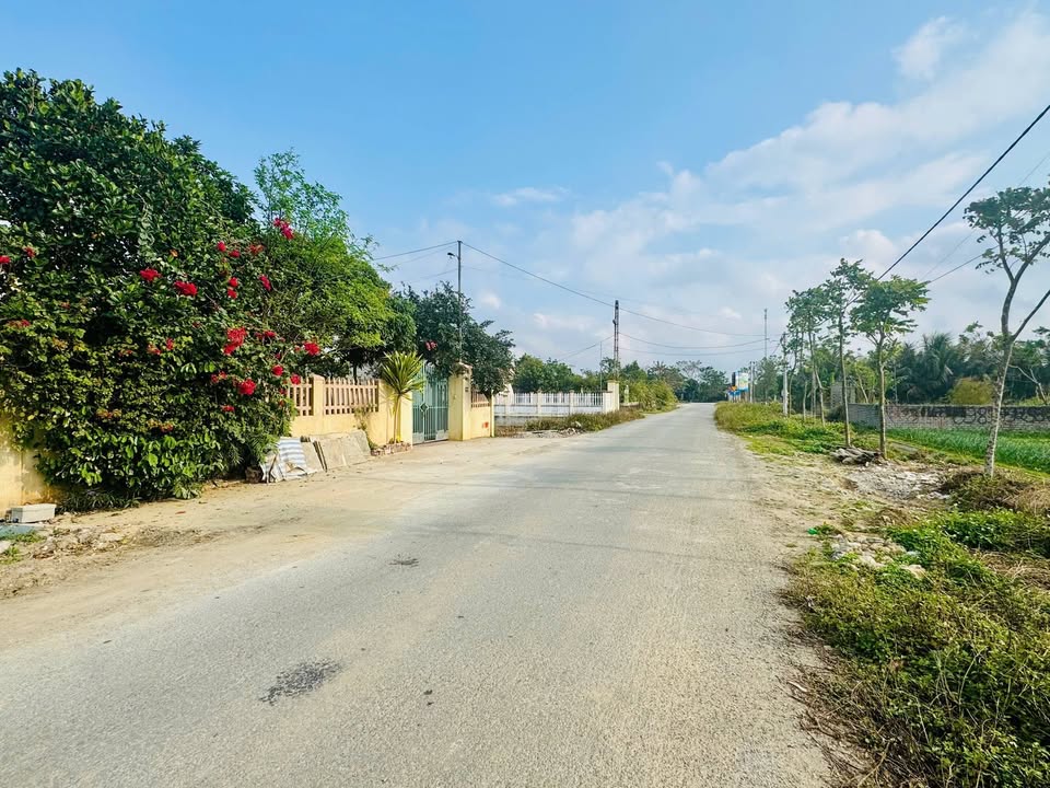 Lô đất chính chủ tại xã Nga An, Thanh Hóa 100m² giá chỉ 700 triệu - Đầu tư sinh lời cao!