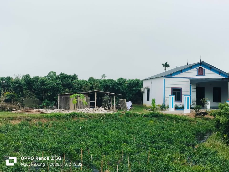 Đất vườn Thôn Mạc 1, Phồn Xương, Yên Thế, 1.500m² giá chỉ 590 triệu - Cơ hội đầu tư hấp dẫn!