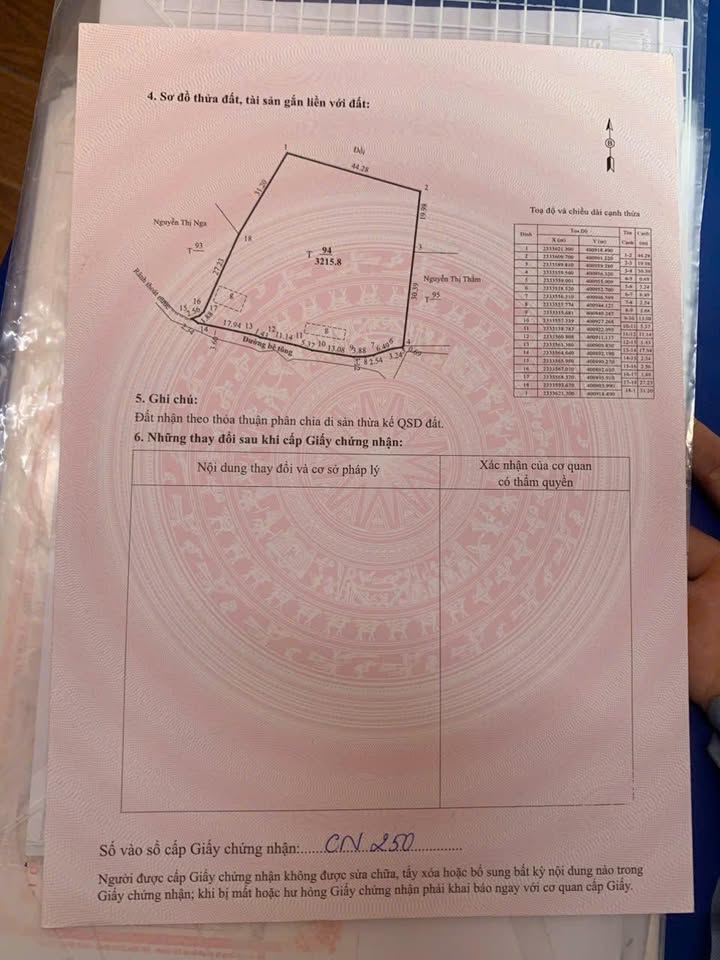 Đất Vàng Danh, Uông Bí 3000m² giá 2 tỷ - Cơ hội đầu tư hấp dẫn!
