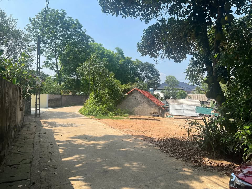 Đất thổ cư tại Lập Thạch, Vĩnh Phúc 110m² giá 600 triệu - Đường thông ô tô tránh đỗ thoải mái!