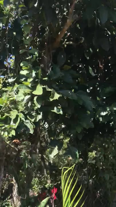 Đất thổ cư Tân Hội - Đức Trọng 72m² giá 860 triệu - Đầu tư lý tưởng!