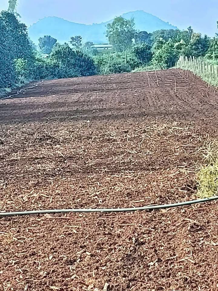 Đất mặt tiền bê tông N'Thol Hạ 2536m² giá 2.55 tỷ - Cơ hội đầu tư hấp dẫn!