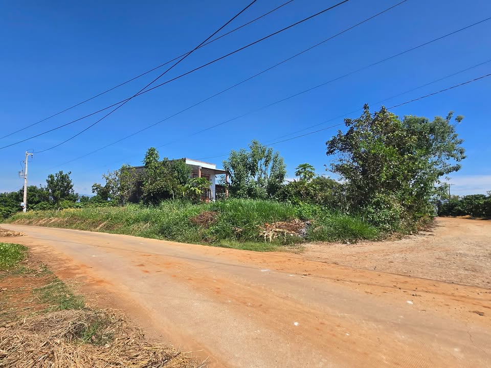 Đất nền Tân Văn - Lâm Hà 100m² giá chỉ 750 triệu - Cơ hội đầu tư vàng!