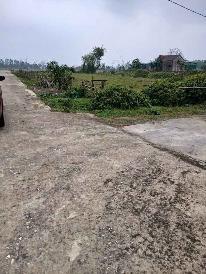 Đất nền Ngọc Sơn, Thạch Hà 300m² giá 800 triệu - Lô góc đẹp, đường 9m