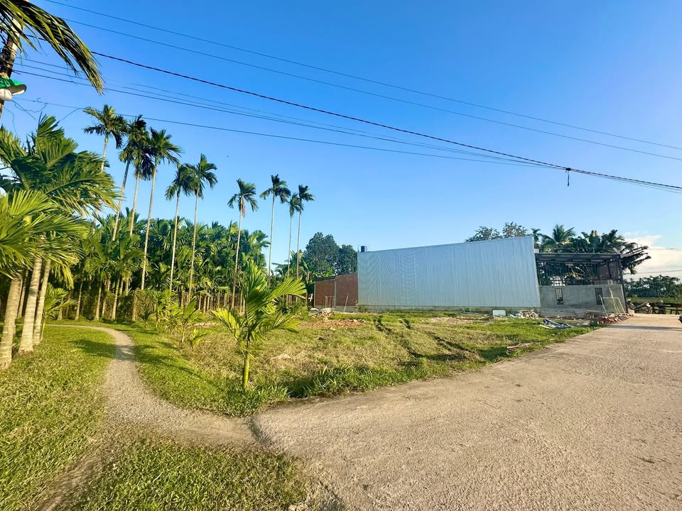 Lô đất góc Đặng Thùy Trâm, Tư Nghĩa 160m² - Đầu tư sinh lời ngay!