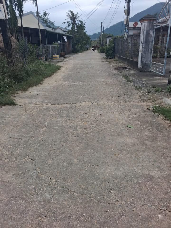 Đất mặt tiền xã Mộ Đức, Quảng Ngãi 162m² - Dân cư đông đúc, cơ hội đầu tư sinh lời!