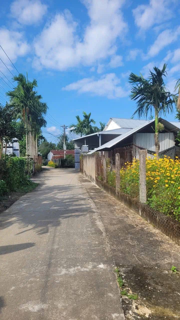 Đất nền Phổ Thuận 320m² giá chỉ 3xx triệu - Sổ đỏ chính chủ, vị trí đắc địa!