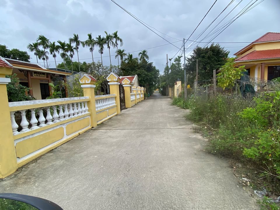 Đất thổ cư Cẩm Thanh Hội An 100m² giá 2.15 tỷ - Đầu tư tiềm năng!