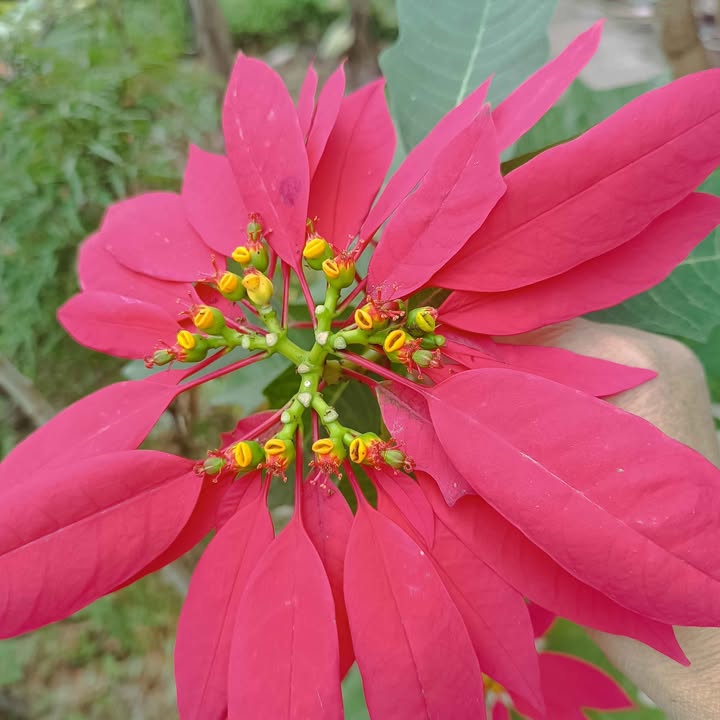 Đất nền Gia Tân Gia Viễn 120m² giá 1.5 tỷ - Hướng Nam, cơ hội đầu tư hấp dẫn!