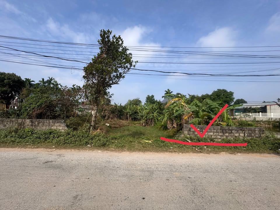 Đất nền Thọ Ngọc - Triệu Sơn 125m² giá chỉ 6xx triệu - Cơ hội đầu tư hấp dẫn!