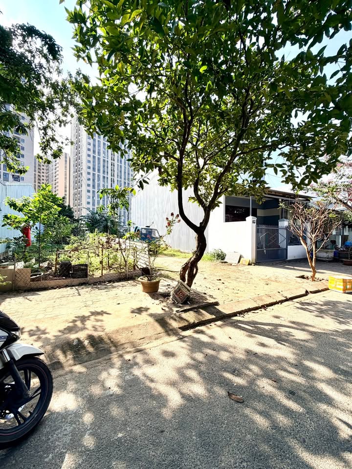 Đất nền đường Trương Văn Lĩnh, Đà Nẵng 100m² giá chỉ 3 tỷ - Cơ hội đầu tư tuyệt vời!