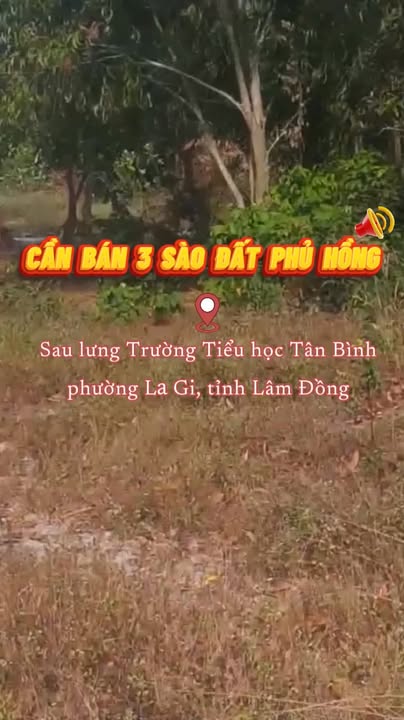 Đất nền La Gi 3127m² giá chỉ 2,2 tỷ - Tiềm năng đầu tư lớn!