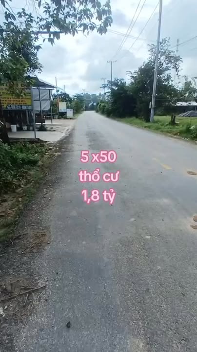 Đất thổ cư 250m² tại Ấp Rừng Sến, Đức Hoà - Giá chỉ 1.8 tỷ, bớt lộc cho khách thiện chí!