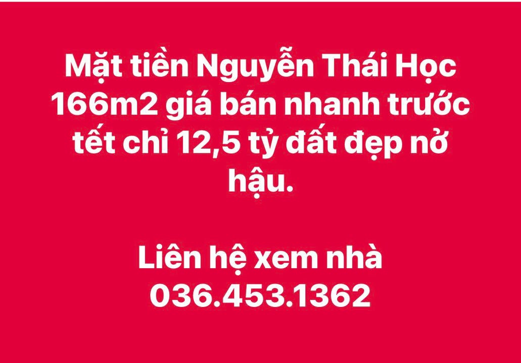 FrontHouse mặt tiền Nguyễn Thái Học 166m² giá 12,5 tỷ - Bán gấp trước Tết!