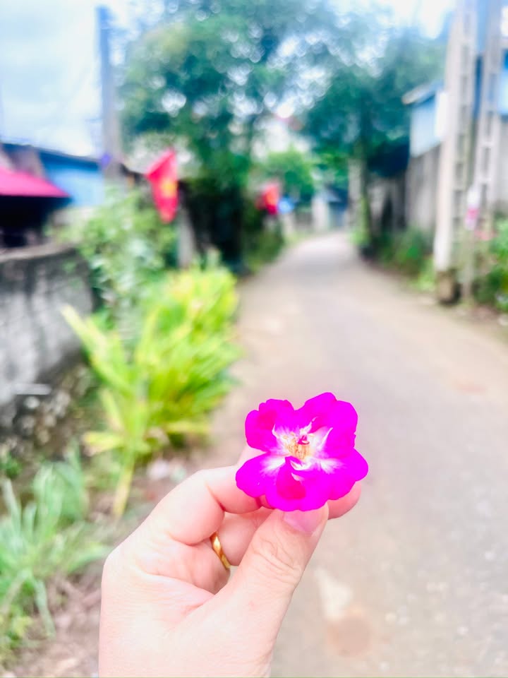 Đất nền tại Trung Hội, Định Hóa 500m² - Đầu tư sinh lời tuyệt vời!