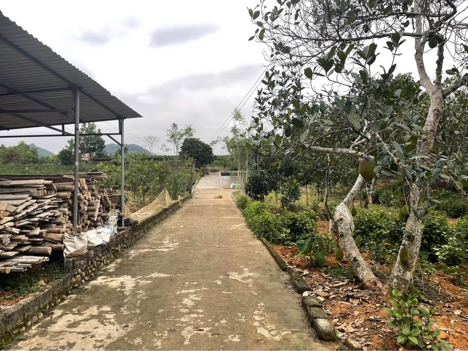 Đất thổ cư Lục Ba, Đại Từ 112m² giá chỉ từ 4xx triệu - Cơ hội đầu tư tuyệt vời!