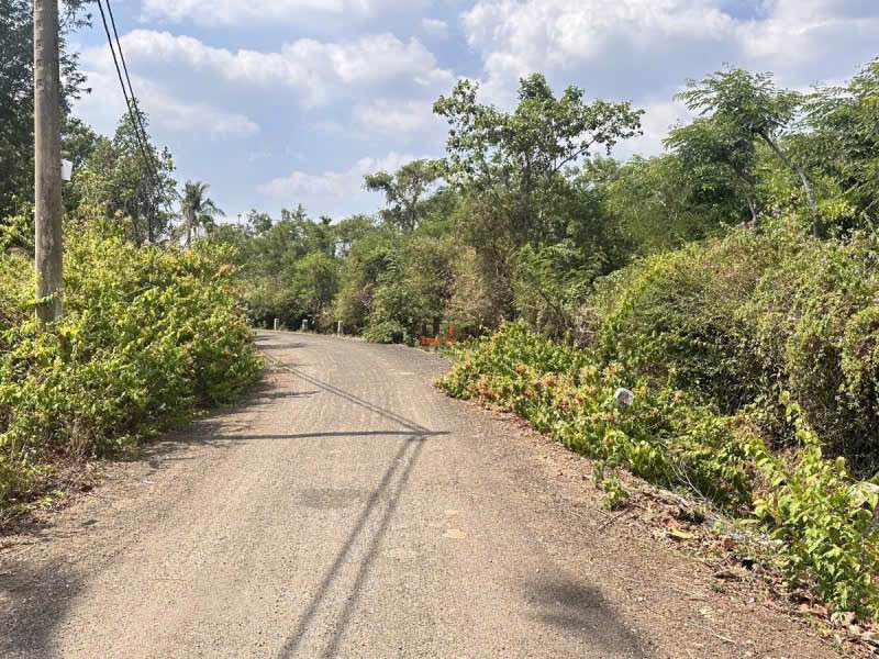 Đất thổ cư Y Wang 558m² chỉ 5.58 tỷ - Pháp lý rõ ràng, xây nhà vườn lý tưởng!