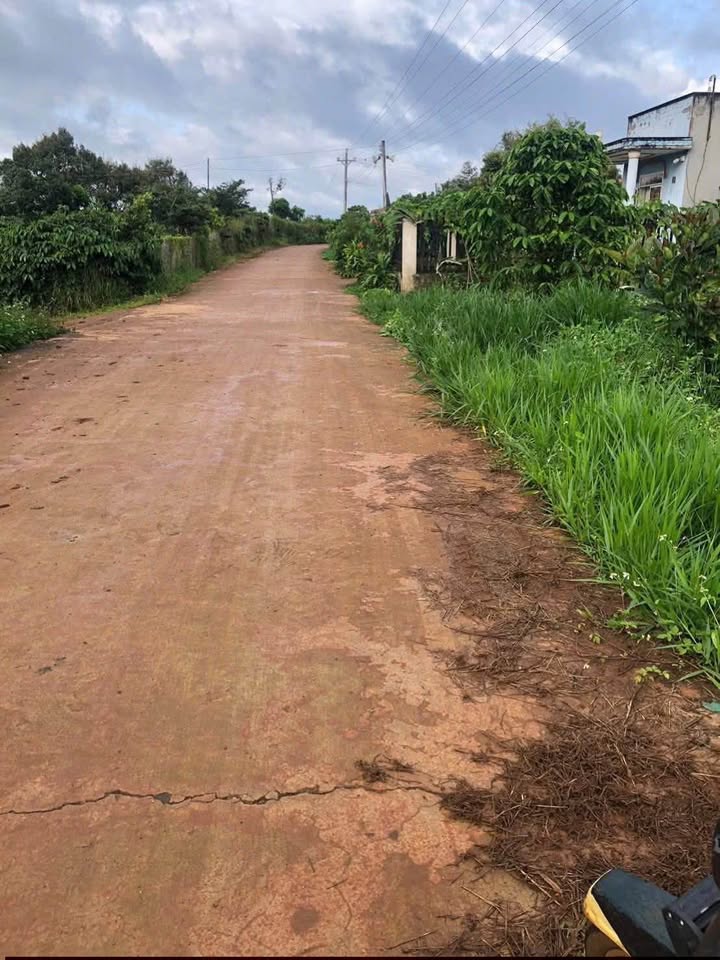 Đất nền Lộc An 2600m² giá 2 tỷ - Khu dân cư phát triển