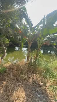 Đất ruộng 3,8 công tại xã Tân Phú, Đồng Tháp - Giá hấp dẫn chỉ 2 tỷ!