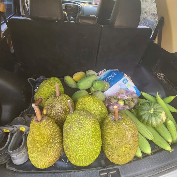 Farm cho thuê Tân Thạnh Tây Củ Chi 1000m² - Không gian xanh lý tưởng!