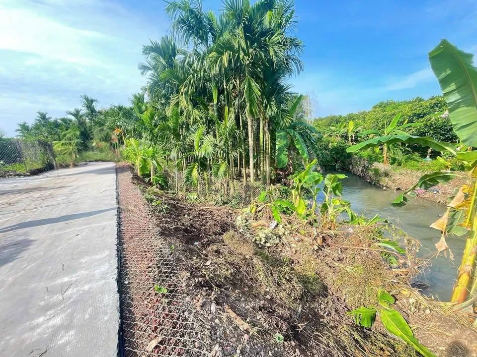 Đất nền Bảo Vinh, Long Khánh 2800m² - Cơ hội đầu tư lý tưởng!