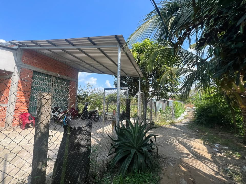 Đất vườn 3000m² tại ấp Bình Thới, xã Bình Phú, Cai Lậy - Giá chỉ 1.85 tỷ!