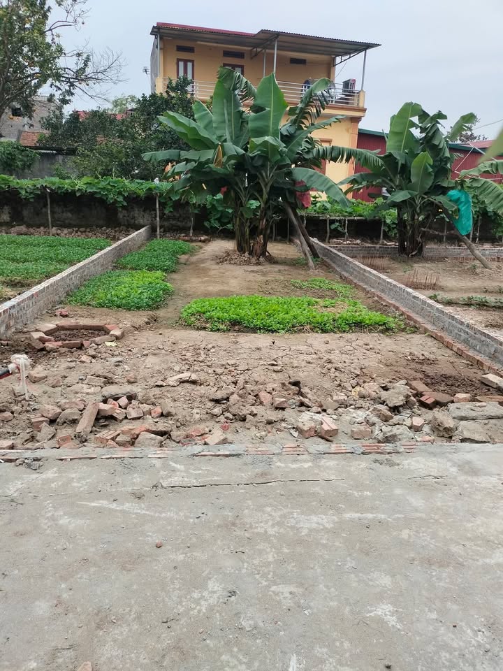 Đất nền tại Đông Cốc, Hà Mãn, Thuận Thành, Bắc Ninh 54m² - Giá chỉ 1 tỷ VND!