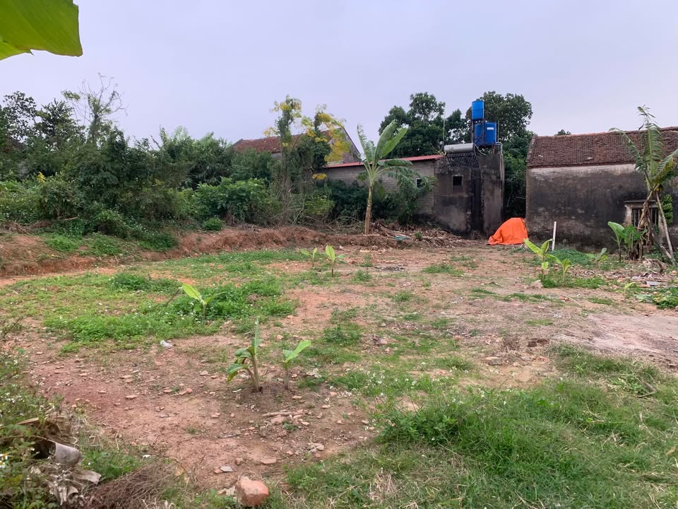 Đất thổ cư 260m² tại Đức Giang, Yên Dũng - Giá chỉ 1 tỷ VND!