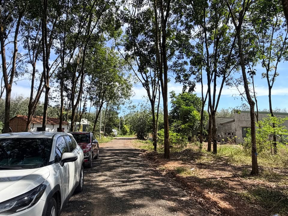 Đất nền Đồng Xoài 175m² giá 300 triệu - Đầu tư sinh lời ngay!