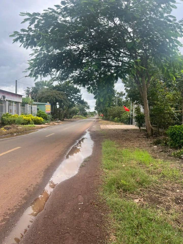 Đất nền Tân Phước Đồng Phú 1000m² giá 2 tỷ - Cơ hội đầu tư hấp dẫn!