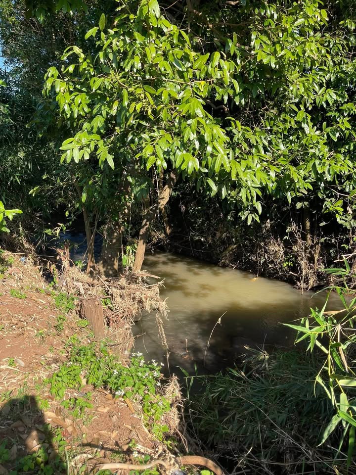 Đất Farm 1ha tại Cư Mốt, Ea H'leo - Giá chỉ 700 triệu VND - Đầu tư sinh lời ngay!