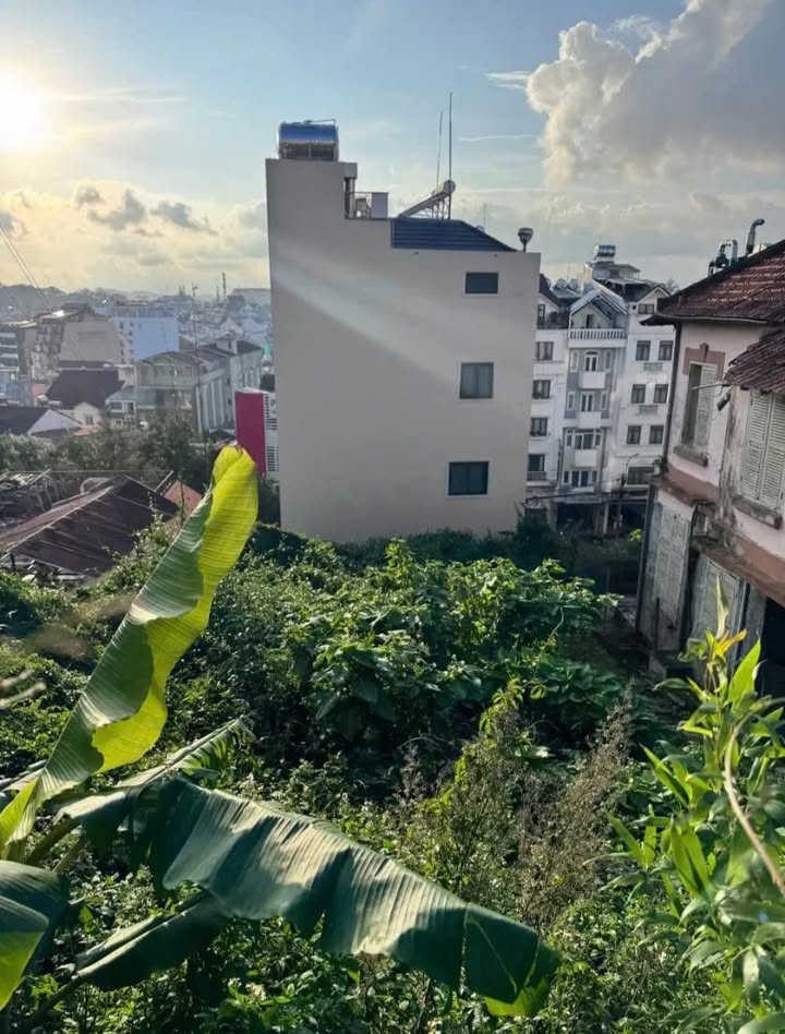 Bán đất mặt tiền Phan Như Thạch Đà Lạt 212m² giá 38.5 tỷ - Vị trí đắc địa cho kinh doanh