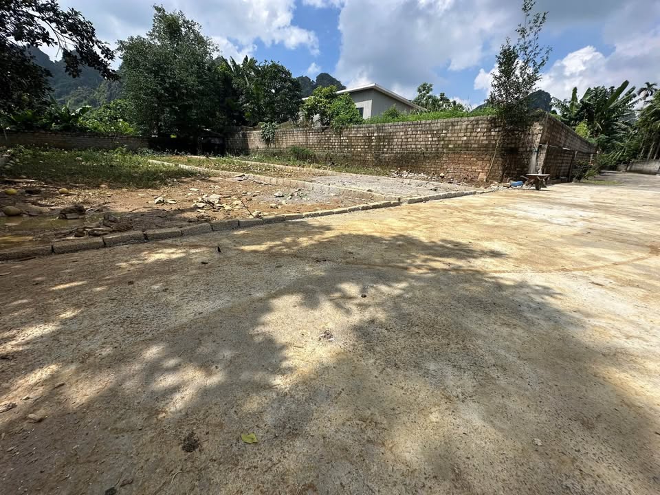 Đất Lương Sơn Hòa Bình 127m² giá chỉ 300 triệu - Cơ hội đầu tư hấp dẫn!