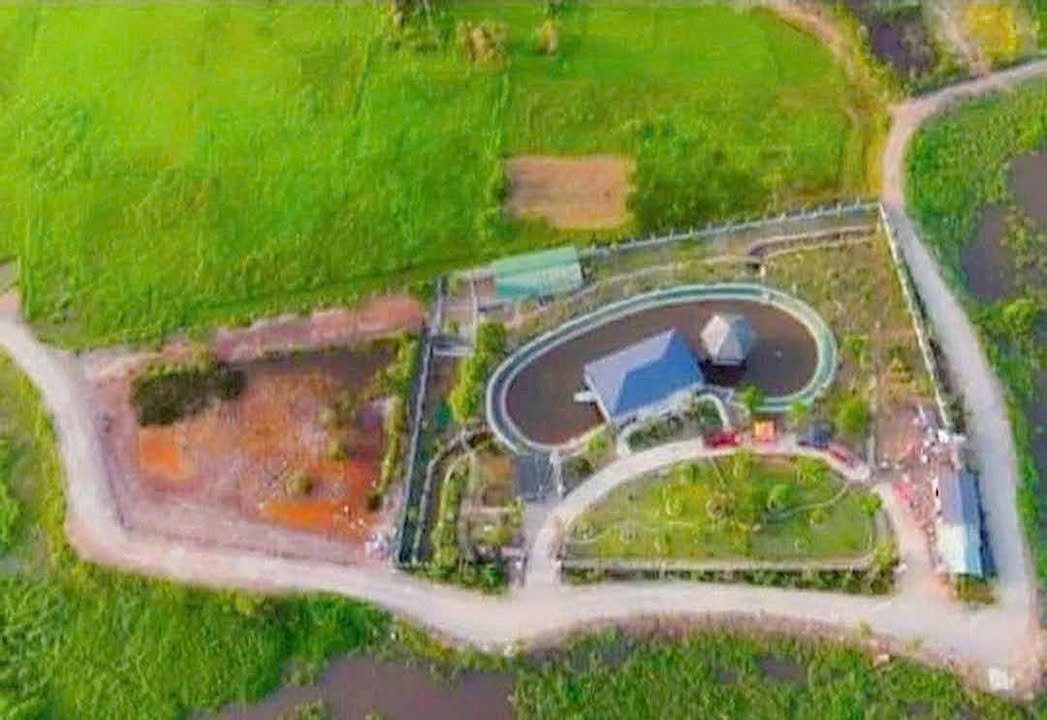 Đất vườn Trung An, Củ Chi 1.795m² giá 6 tỷ - Cơ hội đầu tư tuyệt vời!