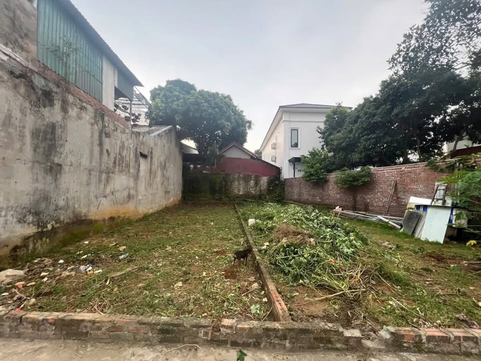 Đất nền Tân Thành, Việt Trì 85,4m² giá 1,95 tỷ - Đường ôtô vào tận nơi!